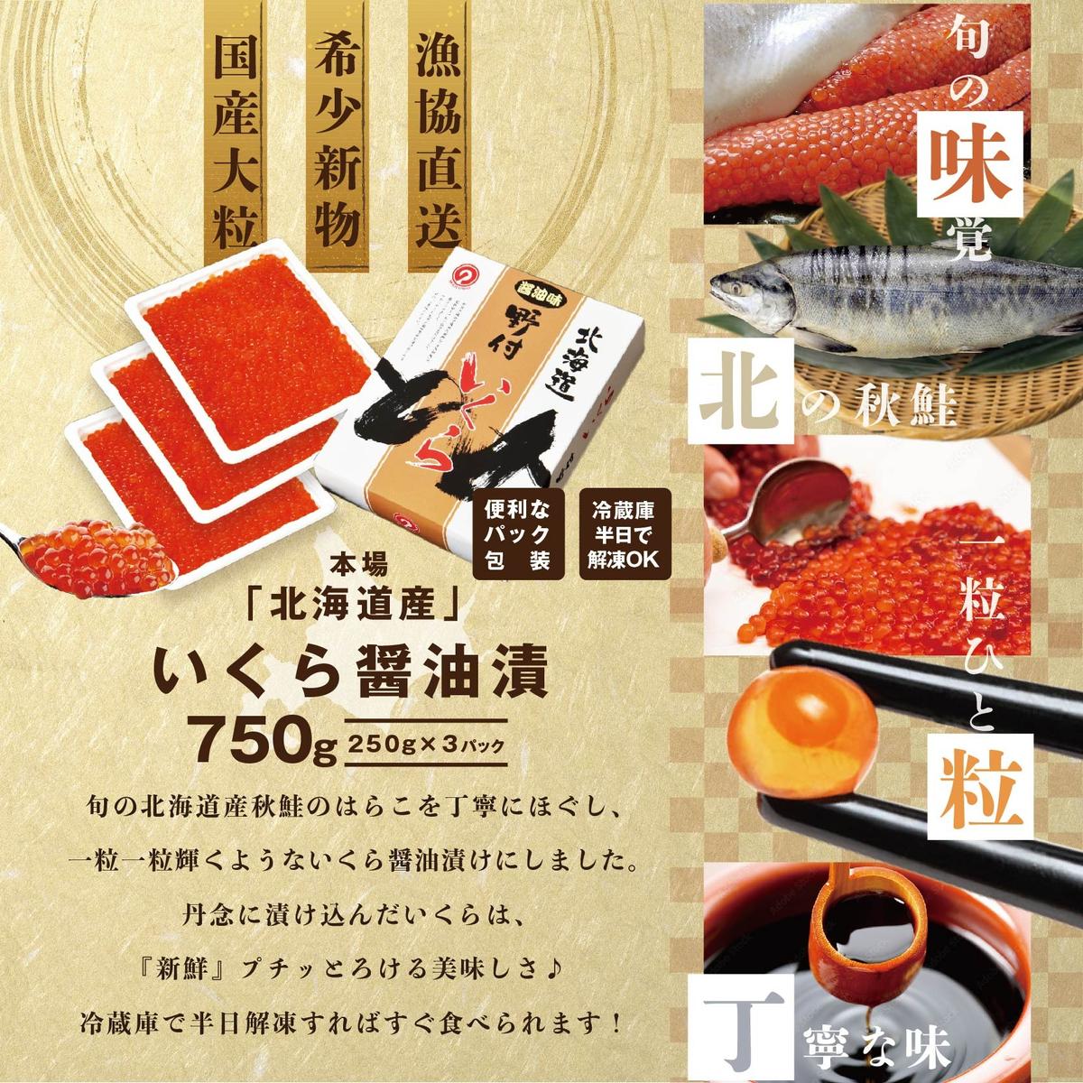 北海道別海町のふるさと納税 いくら！漁協 直送！本場「北海道」 いくら 醤油漬け 750g！【NK0003NQ5】( いくら いくら醤油漬け いくら醤油漬 醤油いくら 鮭いくら 国産いくら 北海道産いくら 地場産いくら 道産いくら 別海町 ふるさと納税 ふるさと ikura お届け）