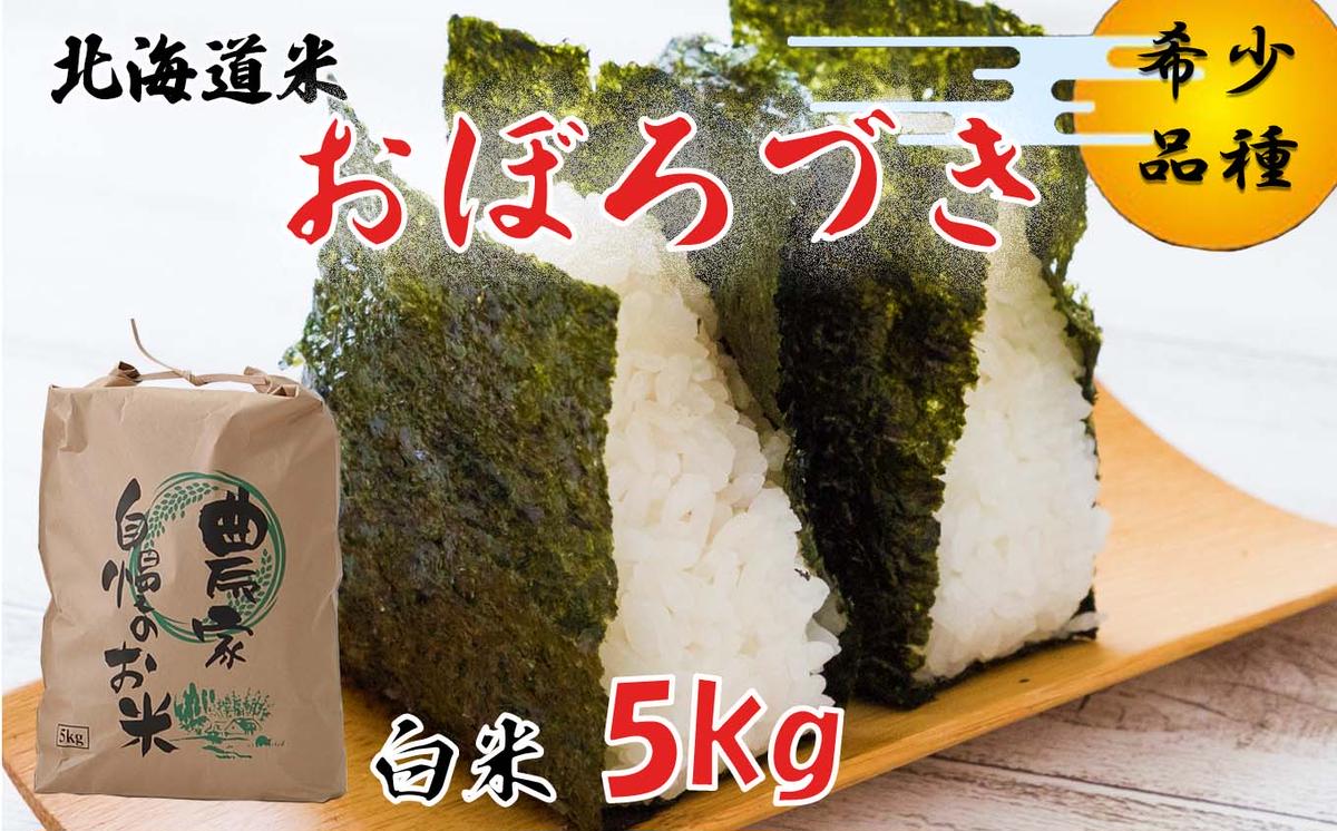 北海道産 希少米 新米 おぼろづき 白米 5kg 