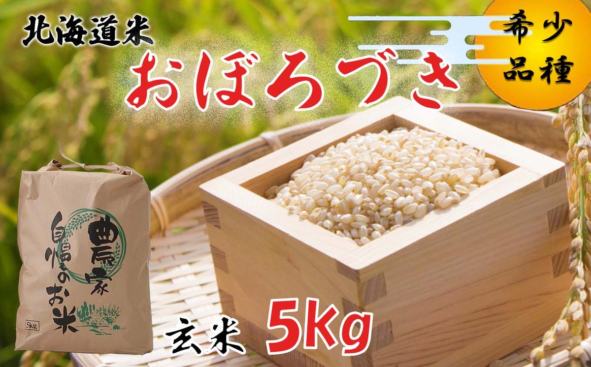 北海道米 令和5年度米 おぼろづき 玄米 5kg