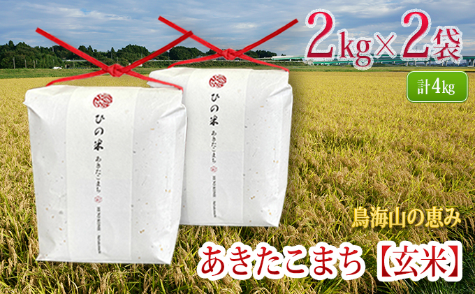 秋田県産 あきたこまち 玄米 4kg（2kg×2袋）神宿る里の米「ひの米」（お米 小分け）