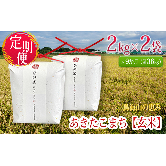創健社 特別栽培蓮根１００％使用　蓮根粉 100g 139629　1セット（100g×30）（直送品）