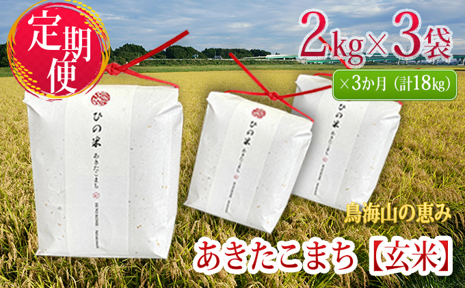 正規取扱店 AZTEC ビジネスストア田中産業 グレンシューター 500リットル 袋セット 法人様限定