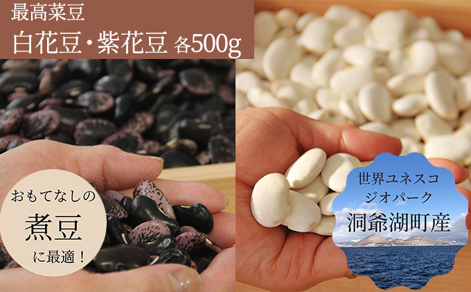 北海道・洞爺湖町産 高級菜豆の白花豆と紫花豆　各500g×1袋　計1kg　※2023年12月中旬より順次出荷