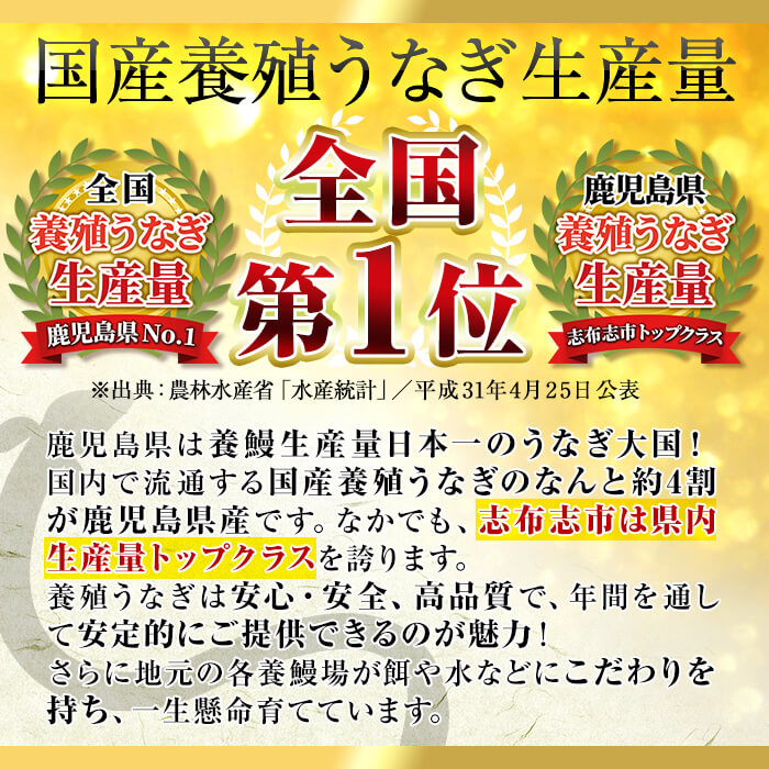 鹿児島県志布志市のふるさと納税 国産うなぎ蒲焼名水慈鰻5尾（合計800ｇ以上） c1-005