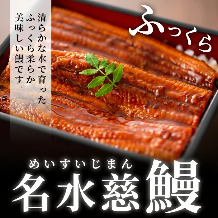 鹿児島県志布志市のふるさと納税 国産うなぎ蒲焼名水慈鰻5尾（合計800ｇ以上） c1-005