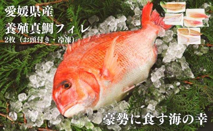 セゾンのふるさと納税　愛媛県産養殖真鯛フィレ2枚（お頭付き冷凍）　愛媛県鬼北町