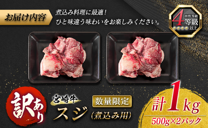 B182-21 訳あり≪数量限定≫宮崎牛スジ(煮込み用)計1kg 肉 牛 牛肉 / 宮崎県日南市 | セゾンのふるさと納税