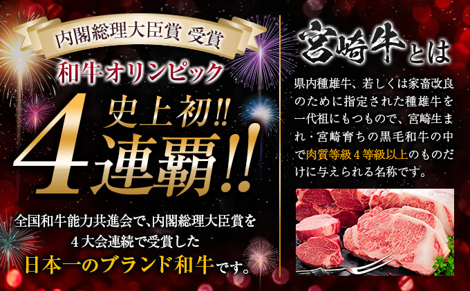 宮崎県日南市のふるさと納税 訳あり 数量限定 宮崎牛 スネ肉 ブロック 計800g 牛肉 ビーフ 黒毛和牛 ブランド牛 4等級以上 煮込み用 カレー シチュー ポトフ 食品 おかず ディナー 高級 贅沢 ご褒美 お祝 記念日 イベント おもてなし お取り寄せ グルメ 冷凍 宮崎県 日南市 送料無料_BA76-23
