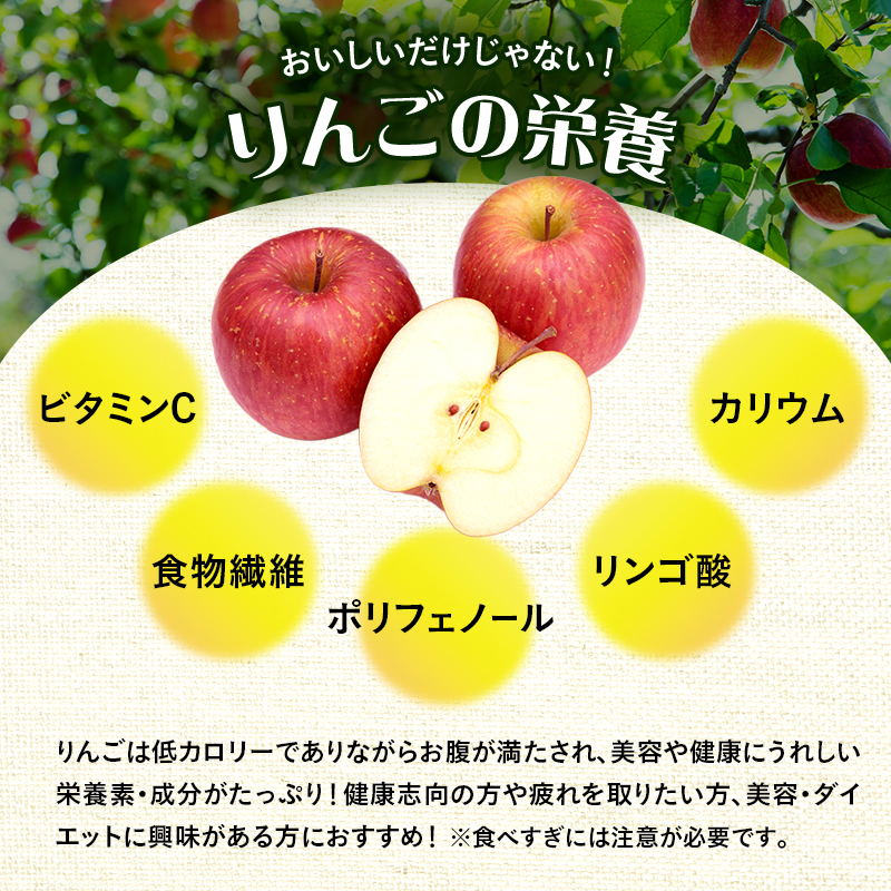 青森県鰺ヶ沢町のふるさと納税 りんご 訳あり 青森 紅玉 約 10kg (36～44玉) 青森県産 リンゴ サイキチ農園 青森県 鰺ヶ沢町産 フルーツ 果物 不揃い 傷 林檎 2024