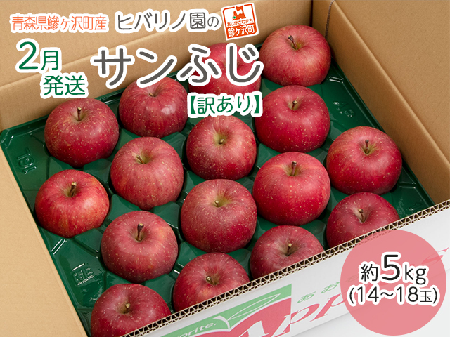 青森県産　りんご　つがる訳あり　5kg  20個