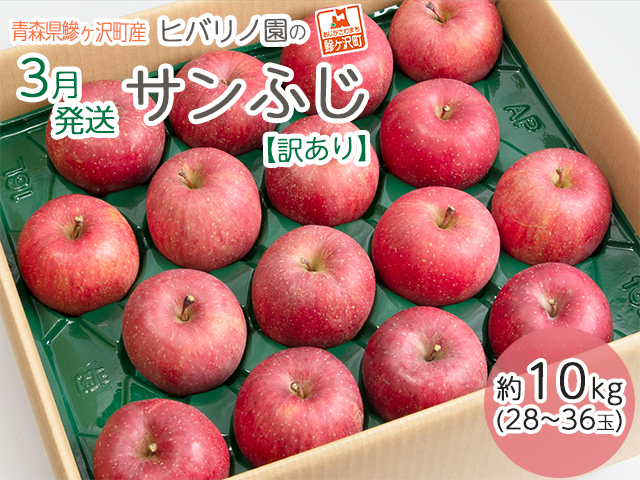 青森県産  ぐんま名月  りんご 加工用 20kg  産地直送 リンゴ 林檎 - 1