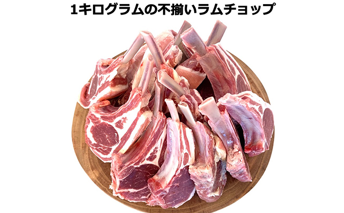 カネカン竹内 訳あり ラムチョップ （ ニュージーランド産 ）約1kg ラム 肉 子羊 仔羊 骨付き バーベキュー 香草焼き クリスマス