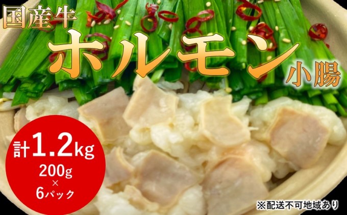 熊本県錦町のふるさと納税 国産牛 シロ ホルモン 小腸（鍋用）1.2kg【配送不可：離島】