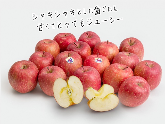 農家直送 青森県産完熟りんご使用 果汁100%りんごジュース 1ℓ6本入