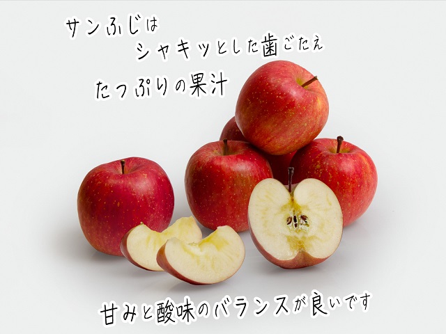 青森県産 ぐんま名月 りんご 家庭用 5kg 農家直送 送料無料 リンゴ ふじ