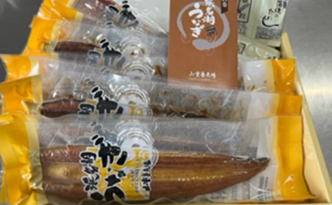 静岡県浜松市のふるさと納税 【2024年8月より順次発送】浜名湖産鰻　蒲焼 約160g×10本 セット 土用の丑の日 丑の日 うなぎ 静岡県産 浜松