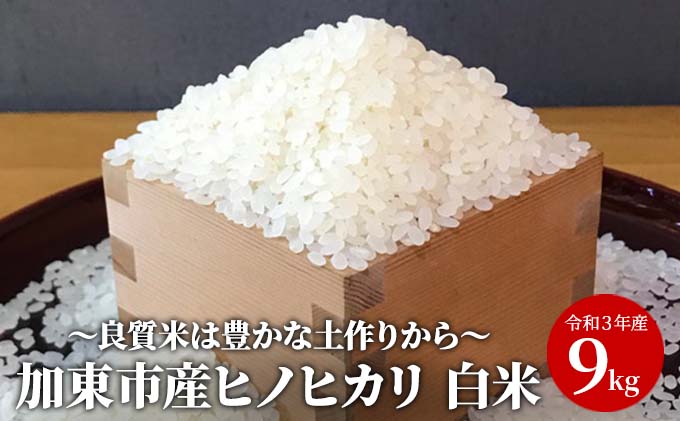 兵庫県加東市のふるさと納税 米 令和5年産 加東市産 ヒノヒカリ 白米 9kg