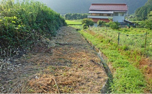 島根県美郷町のふるさと納税 空き家・空き地の草刈り　2.5時間コース