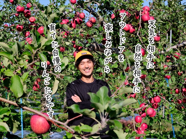 青森県鰺ヶ沢町のふるさと納税 西樹園のサンふじ約4～5kg(12～18玉)　青森県鰺ヶ沢町産りんご