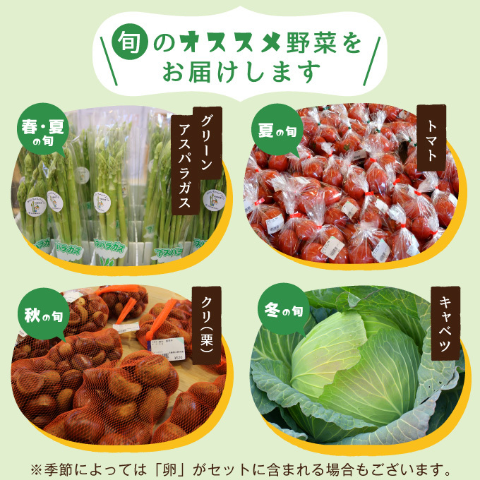 兵庫県小野市のふるさと納税 小野市産季節の野菜セット！