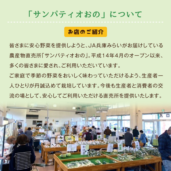 兵庫県小野市のふるさと納税 小野市産季節の野菜セット！