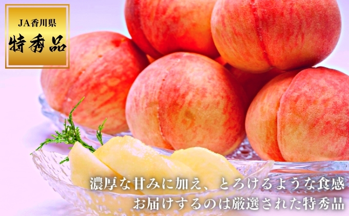 香川県産【ニューピオーネ】秀品4房＋香川県産【飯南の桃　あかつき】丸秀品6玉 image.jpg?1729486003