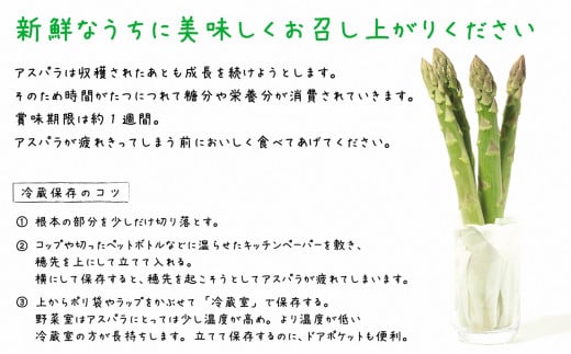 北海道江差町のふるさと納税 《夏アスパラ早期受付中》北海道江差町産 アスパラガス 2kg　L～2Lサイズ　朝採り　農家直送　太いのに、やわらかい！　甘くて、ジューシー！　食べ応えばつぐん！　グリーンアスパラガス