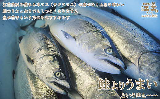 残りわずか 船上神経〆北海道産本マス サクラマス ルイベ用半身2枚 1尾分 トロける旨さ 脂のりは良いけれどしつこくはありません 癖のない上品な旨みで 鮭より美味い という評判も アイヌ伝統の冷凍刺身 桜鱒 サーモン 北海道江差町 セゾンのふるさと納税