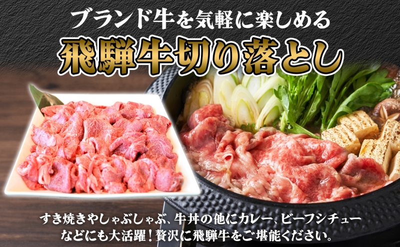 飛騨牛切り落とし約1.5kg （約500g×3パック）（岐阜県安八町） | ふるさと納税サイト「ふるさとプレミアム」