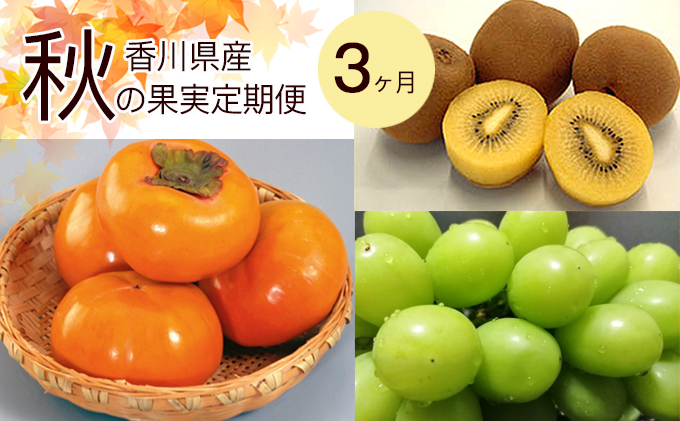 瀬戸の秋の果実3ヶ月定期便「シャインマスカット、さぬきゴールドキウイ、富有柿」