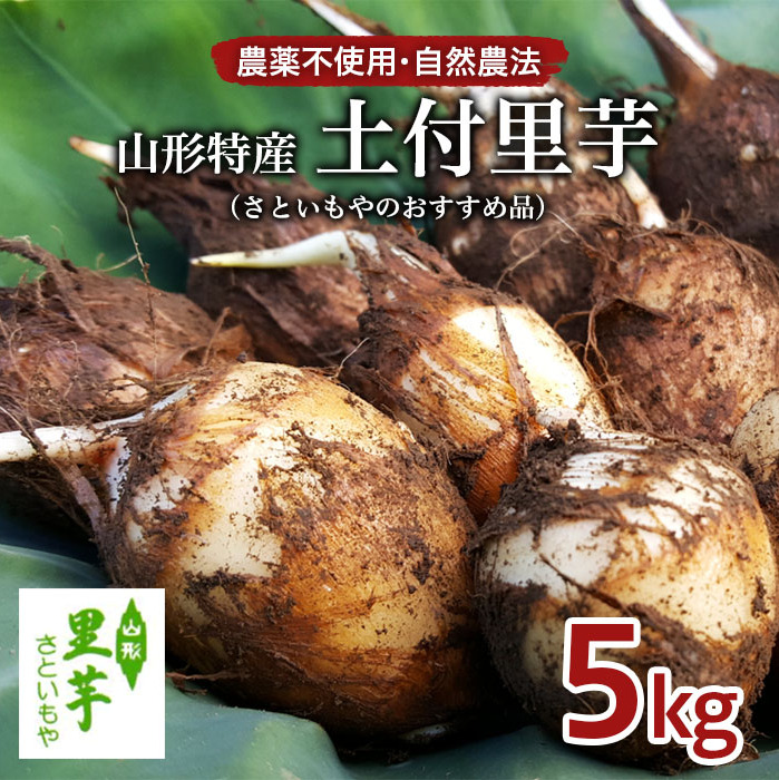 農薬不使用 自然農法 山形特産 土付里芋 5kg!(さといもやのおすすめ品) FY23-135