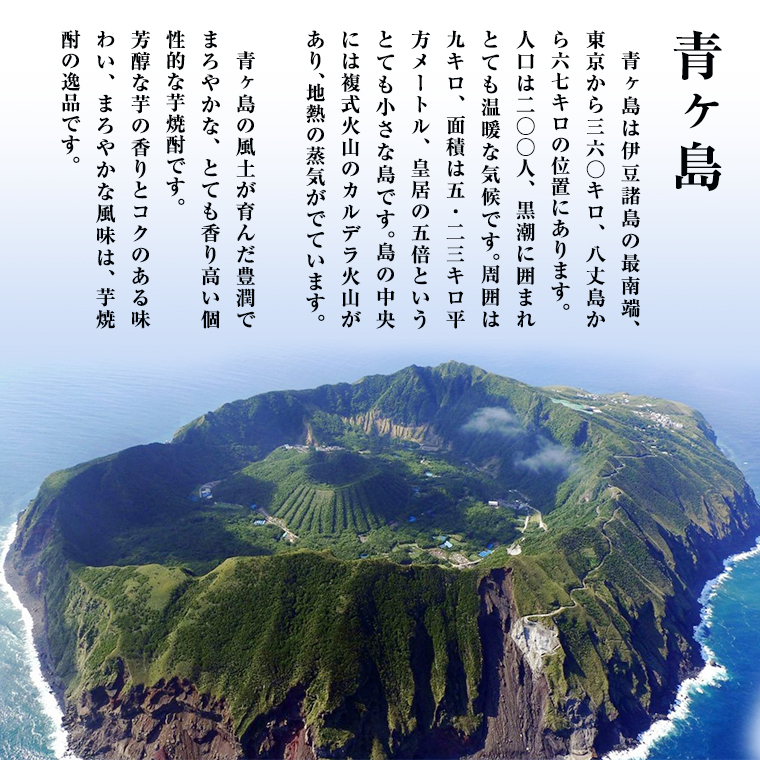 茨城県筑西市のふるさと納税 まぼろしの芋焼酎！ 青酎 （ 筑西市産 井上さつま 使用 ） 1本 [BW063ci]