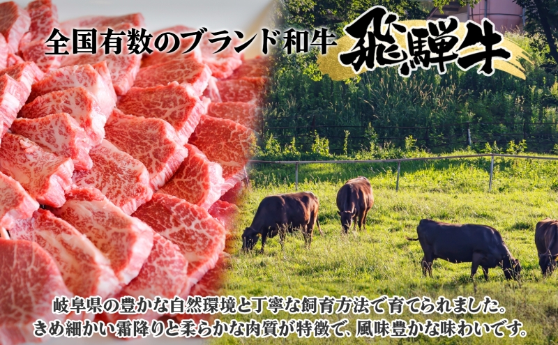 飛騨牛 ヒレ肉 ブロック A4～A5等級 2本 約6～8kg 6～8分割 ヒレ シャトーブリアン 肉 牛肉 ブランド牛 お肉 和牛 贅沢 お取り寄せ  ご褒美 ステーキ 豪華 グルメ 焼肉 BBQ パーティー ギフト 贈り物 自家用 贈答用 焼肉マルイ 岐阜県 【 安八町 】（岐阜県安八町） 