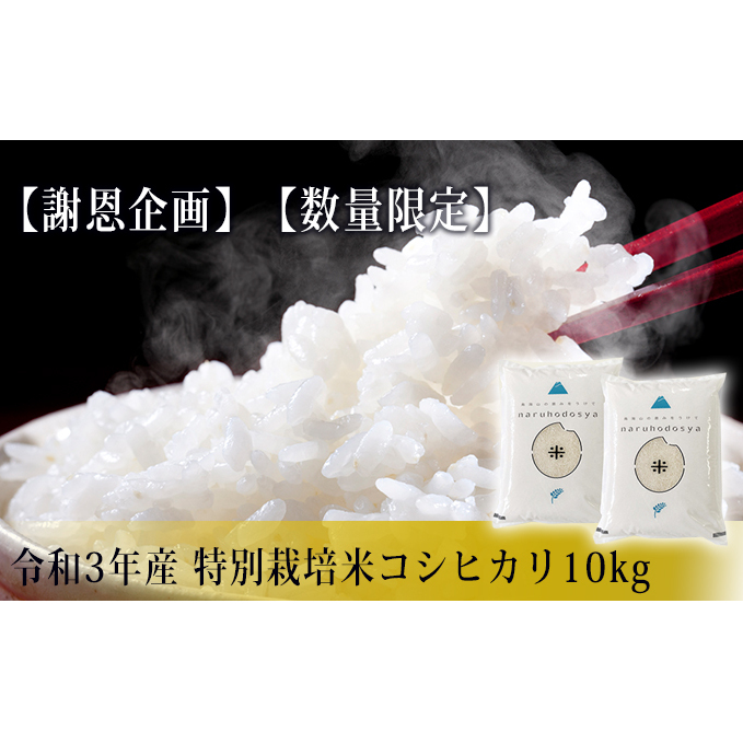 《謝恩企画》《数量限定》令和3年産  特別栽培米 コシヒカリ10kg(5kg×2袋・精米)
