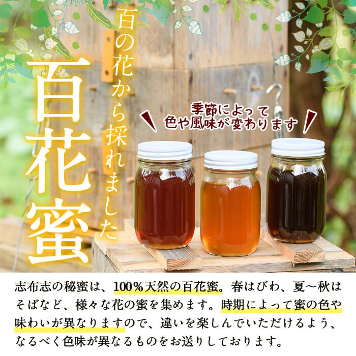 600g×2本 日本蜜蜂の蜂蜜[地蜜(山蜜)]天然100% 【公式通販】