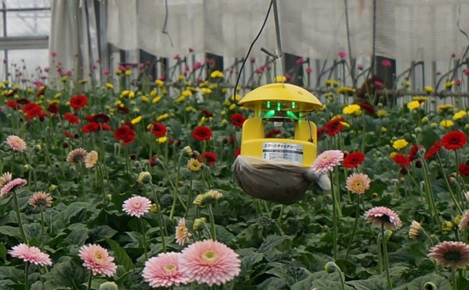 みのる産業 吸引式 LED 捕虫器 スマートキャッチャー 岡山県赤磐市 セゾンのふるさと納税