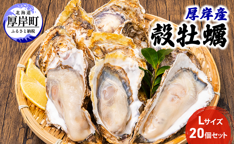 北海道厚岸町のふるさと納税 厚岸産 殻牡蠣 Lサイズ 20個 セットカキ 牡蠣