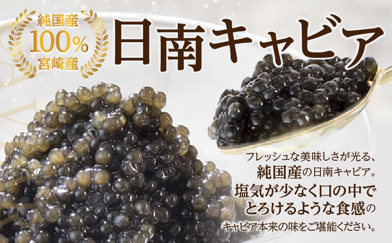 宮崎県日南市のふるさと納税 数量限定 日南キャビア 2種 食べ比べ セット 合計10g 5g×2個 魚卵 魚介 魚貝 国産 食品 新鮮 世界三大珍味 希少 贅沢 海産物 おつまみ おすすめ 高級 ご褒美 パーティー お祝 記念日 人気 お取り寄せ 贈り物 特産品 グルメ 冷凍 宮崎県 日南市 送料無料_CC35-23