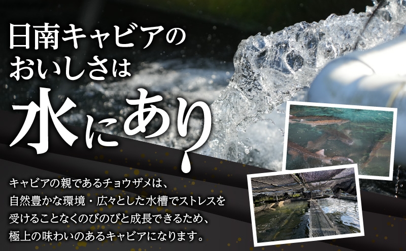 宮崎県日南市のふるさと納税 数量限定 日南キャビア 2種 食べ比べ セット 合計10g 5g×2個 魚卵 魚介 魚貝 国産 食品 新鮮 世界三大珍味 希少 贅沢 海産物 おつまみ おすすめ 高級 ご褒美 パーティー お祝 記念日 人気 お取り寄せ 贈り物 特産品 グルメ 冷凍 宮崎県 日南市 送料無料_CC35-23