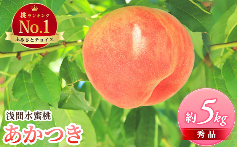 長野県小諸市のふるさと納税 浅間水蜜桃 みつおかのもも あかつき 秀品 約5kg