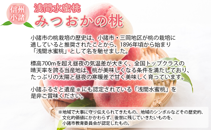 長野県小諸市のふるさと納税 浅間水蜜桃 みつおかのもも なつっこ  秀品 約5kg