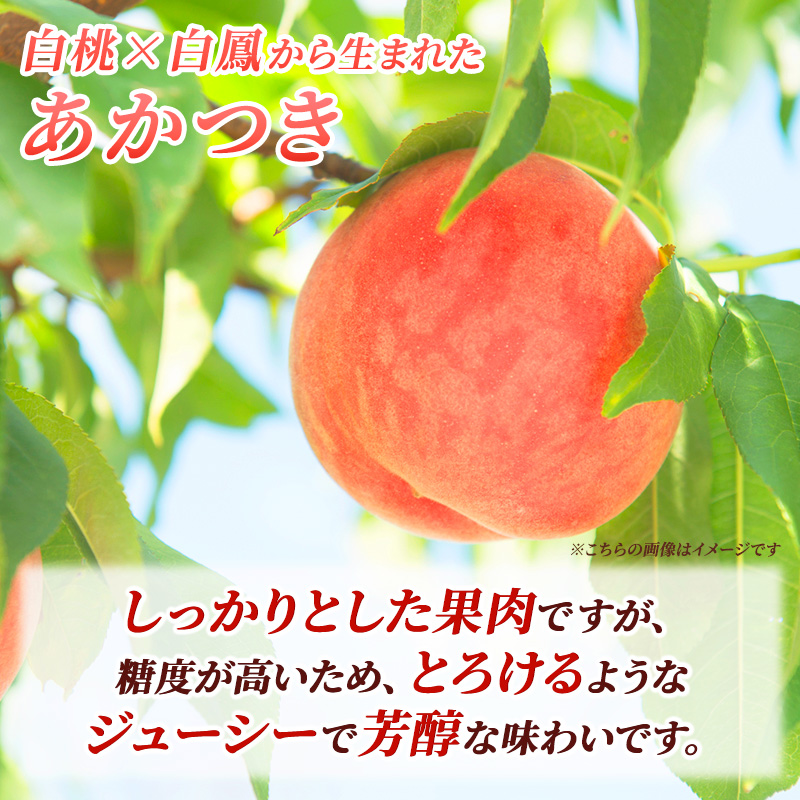 長野県小諸市のふるさと納税 浅間水蜜桃 みつおかのもも あかつき 秀品 約5kg
