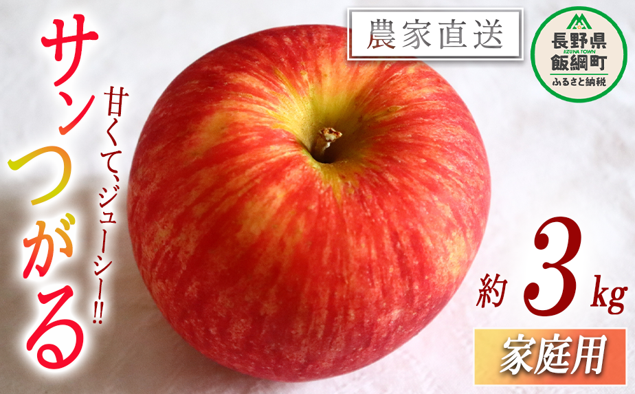 信州りんご　サンつがる  加工用　10キロ