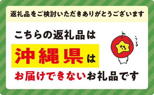 りんご 秋映 家庭用 3kg 永野農園 沖縄県への配送不可 2023年10月上旬