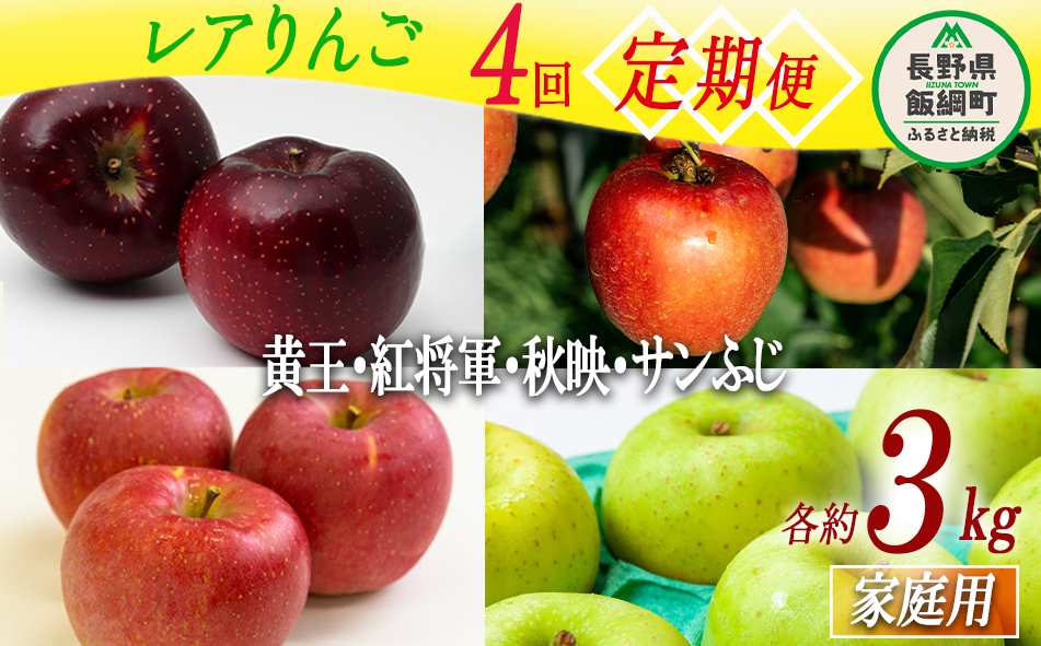 珍しい レア 人気 旬の りんご 【 定期便 】 家庭用 3kg × 5回 永野