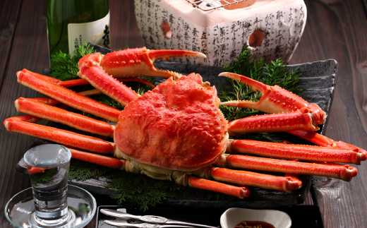 10 387 大型ズワイガニ姿4l 800g前後 1尾 北海道紋別市 ふるさと納税サイト ふるさとプレミアム