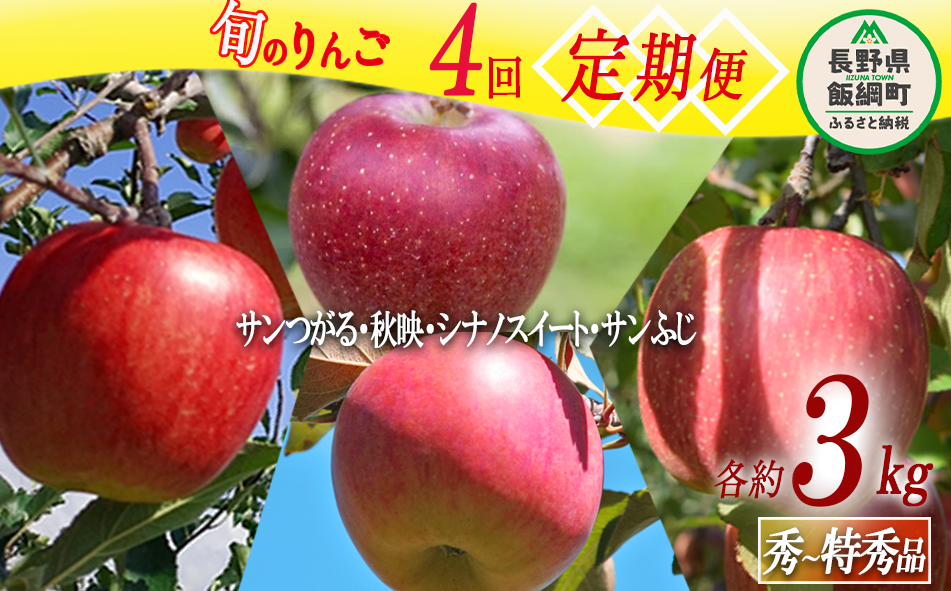 完熟りんご　ふるさと納税　長野県　たてしなップル　通販