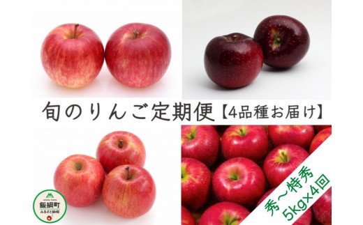 [0509]【令和4年度収穫分】旬のりんご