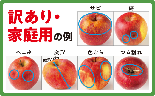 りんご サンふじ 家庭用 5kg 沖縄県への配送不可 2024年12月中旬から