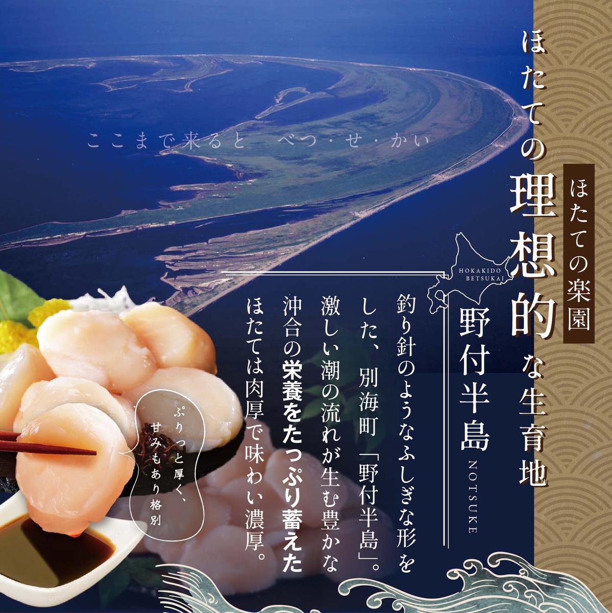 北海道別海町のふるさと納税 ホタテ の中の ほたて 野付の 帆立 を知り尽くす 野付漁協自ら加工だから 旨さ 訳あり ホタテ  送料無料 「野付産 冷凍 ホタテ 1kg 大玉 」（ほたて ホタテ 帆立 貝柱 ホタテ貝柱 大玉 大粒 北海道 別海 野付 ふるさと納税 お届け）